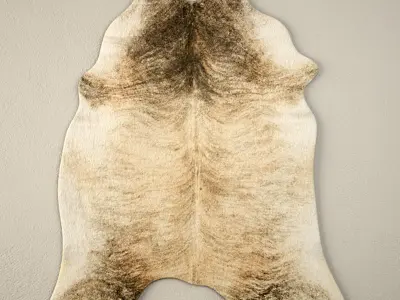 Cowhide Rugs 3D model