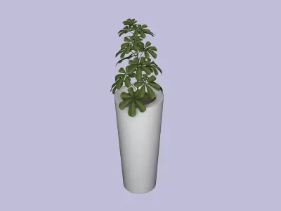 Schefflera Low-poly 3D model