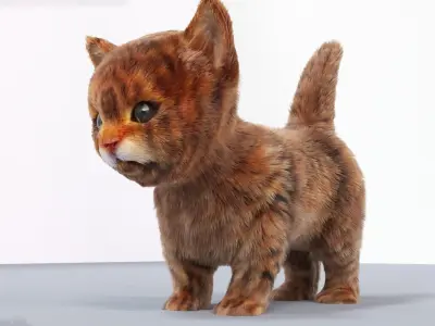 Fur Cute Cat kitten 03 No Rig 3D model