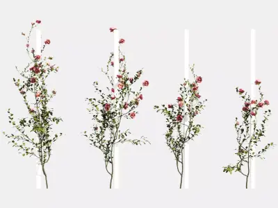 rose flower 3D model