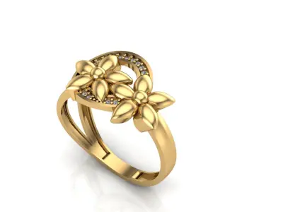 Ringe Free 3D print model