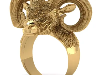 RAM Ring 3D print model