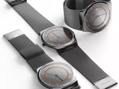 Watch Skagen SKW6007 3D model