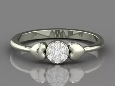 PRESSURE SETTING RING 23 3D print model