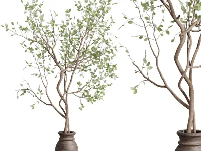 Indoor plant 479 wooden dirt vase plant tree pot 3D model