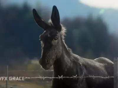 Donkey Summer Animation VFX Grace 3D model