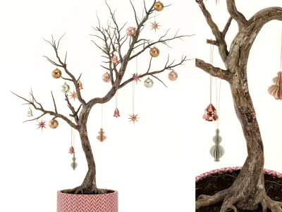 Christmas tree Dried Plant 3D model