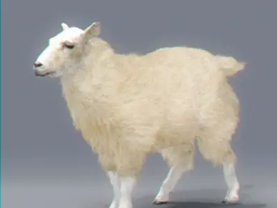 Rigged Sheep 3D model
