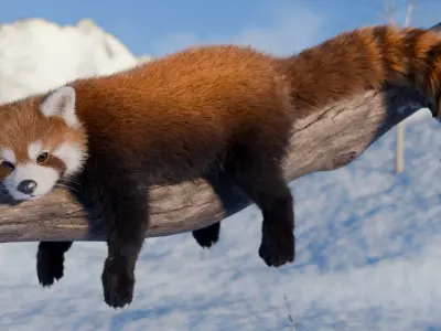 Red Panda Rigged Animated 3D model