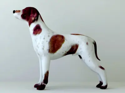 Dogs full body Low-poly 3D model