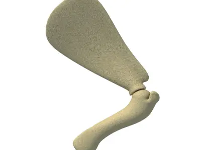 Animal Scapula Upper Bone 3D model