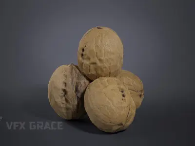 Walnut 002 3D model