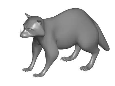 Racoon  3D model