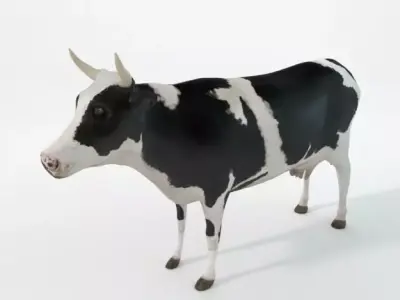 White Cow Low-poly 3D model purchase
