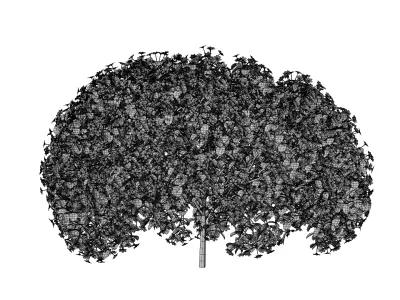 PBR Petunia Flower for Outdoor Environments Low-poly 3D model