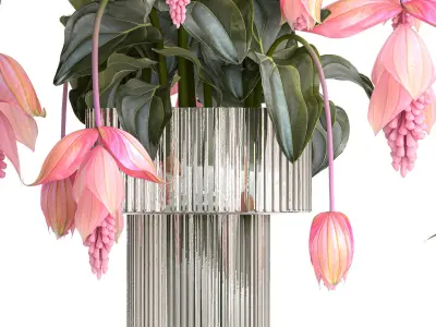 Bouquet of exotic pink flowers with Medinilla bromelia 410 3D model