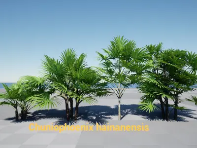 HQ Plants Volume 2 Palms for unreal engine 3D model set of 24 3D model
