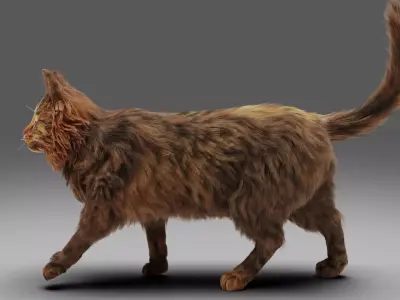 Fur Cat Grey NO Rigged Low-poly 3D model