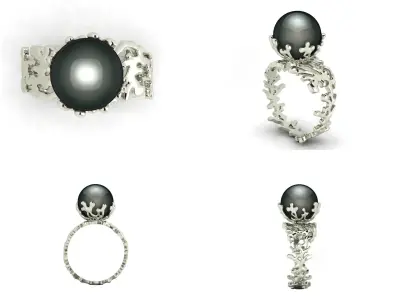 Ring akr 33 3D print model