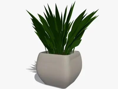 Plant in a Pot 3D model