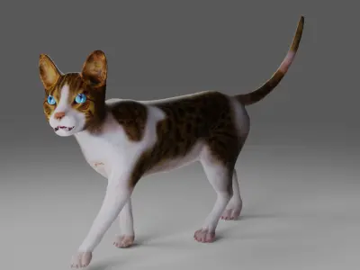 Calico Cat rigged and animated V3 Low-poly 3D model