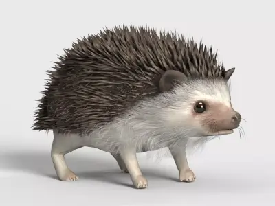 Realistic Hedgehog 3D Model  low poly Rigged Low-poly 3D model