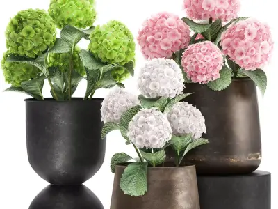 Hydrangea in a rusty Flowerpot for the interior 987 3D model