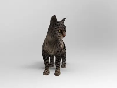 Black 3d Cat rigged and animated  Low-poly 3D model