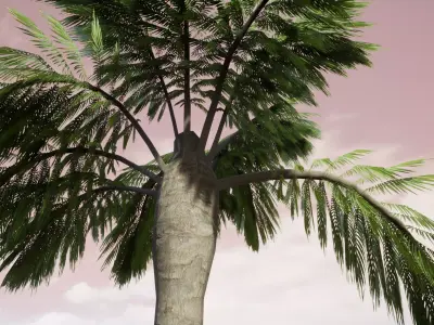 Palm Tree 3D model