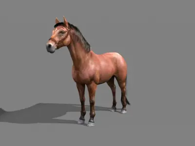 Horse final 3D model