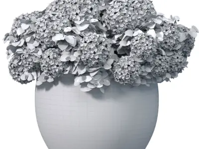 Hydrangea in a vase pot  for decoration Indoor plant 3D model