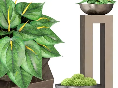 Plants collection 281 Fleurami ROYAL  3D model