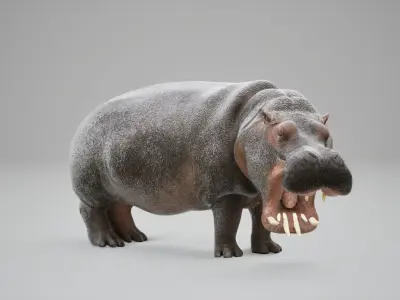 Hippopotamus Rig UNREAL project  Maya base rig 3D model