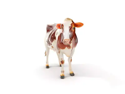Dairy Cow D Model Pack with HighQuality Textures Low-poly 3D model