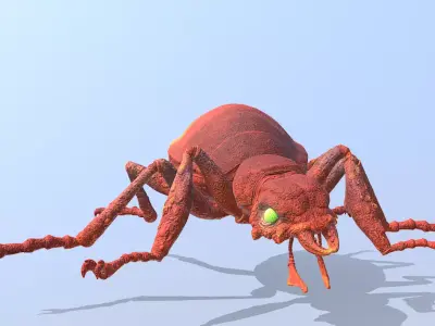 Beetle Bug Eating Fbx Png 3D model
