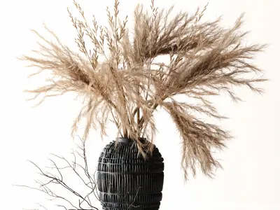 Brown Pampas 3D model