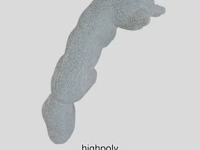 Realistic Red Fox 3D Model with High PBR Textures Low-poly 3D model