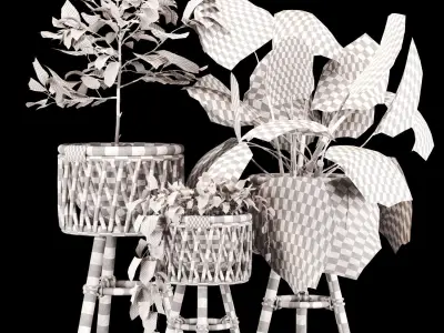 Plant-set-002 3D model