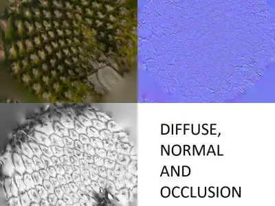 Pineapple photogrammetry scan  3D model