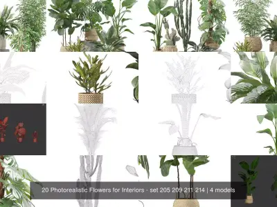 20 Photorealistic Flowers for Interiors - set 205 209 211 214 3D Model Collection