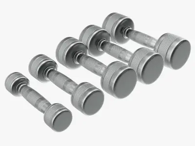 Dumbbell set chrome 3D model