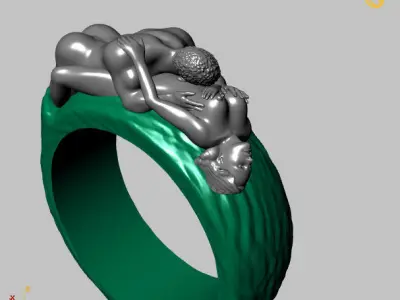 RING SEX 3D print model