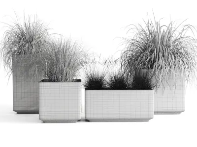 Dried Ornamental Cereal Plants 3D model