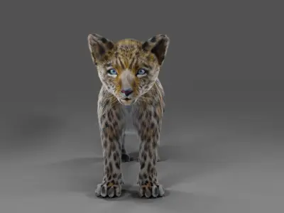 Fur Baby Jaguar No Rigged  Low-poly 3D model