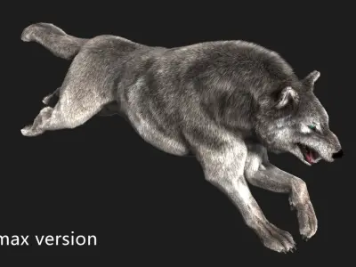 wolf wild dog husky beast howl hair Low-poly 3D model