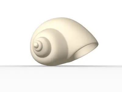 Shell geometry 3D model