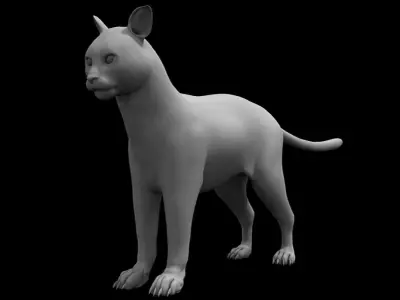 cat 3d model 3D model get