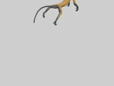 Brocketts Spider Monkey hanging model 3D model