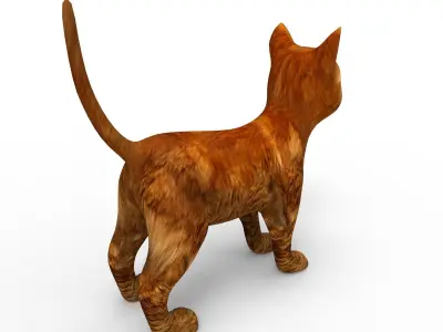3d low poly Pet Cat Model Low-poly 3D model