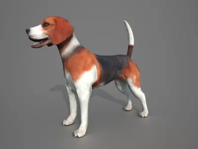 Beagle Dog Low-poly 3D model